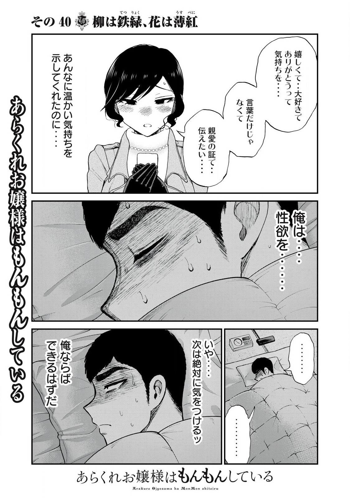 Arakure Ojousama Wa MonMon Shiteiru - Chapter 40.1 - Page 3