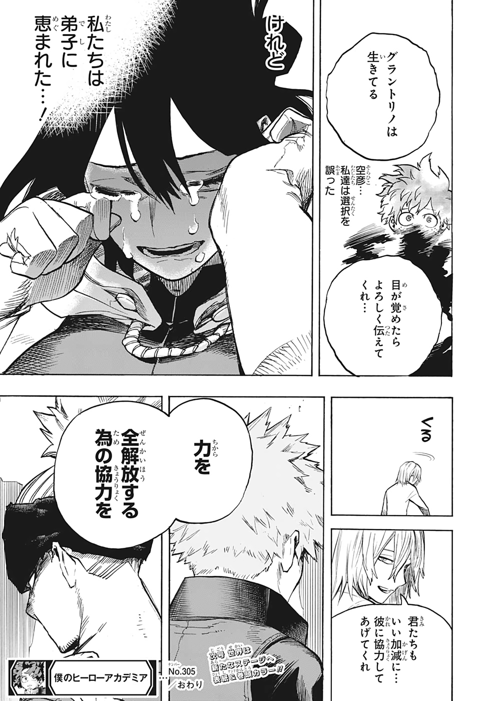 Boku no Hero Academia - Chapter 305 - Page 17