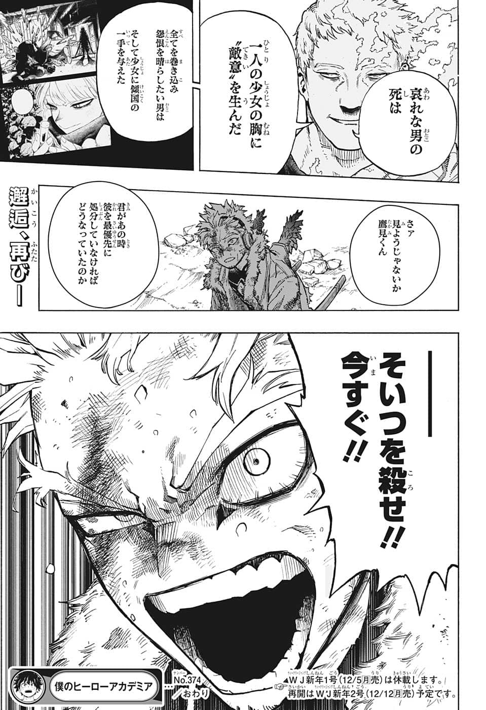 Boku no Hero Academia - Chapter 374 - Page 13