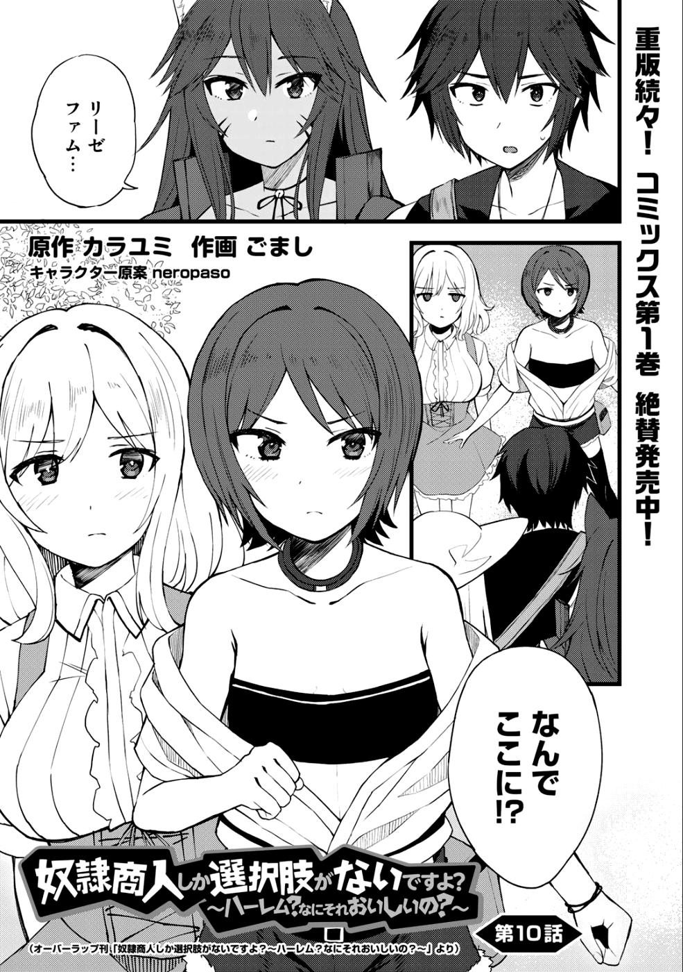 Dorei Shounin shika Sentakushi ga nai desu yo? ~Harem? Nani sore oishii no?~ - Chapter 10 - Page 1