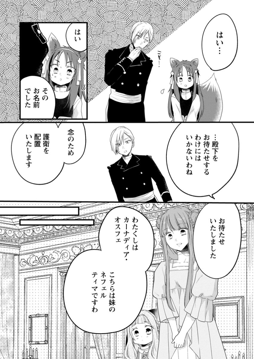 Isekai de Mofumofu Nadenade suru Tame ni Ganbattemasu - Chapter 63.3 - Page 6