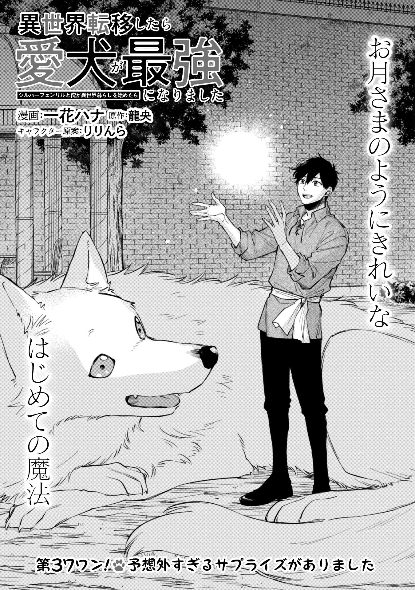 Isekai Teni Shitara Aiken Ga Saikyou Ni Narimashita: Silver Fenrir To Ore Ga Isekai Kurashi Wo Hajimetara - Chapter 37 - Page 2