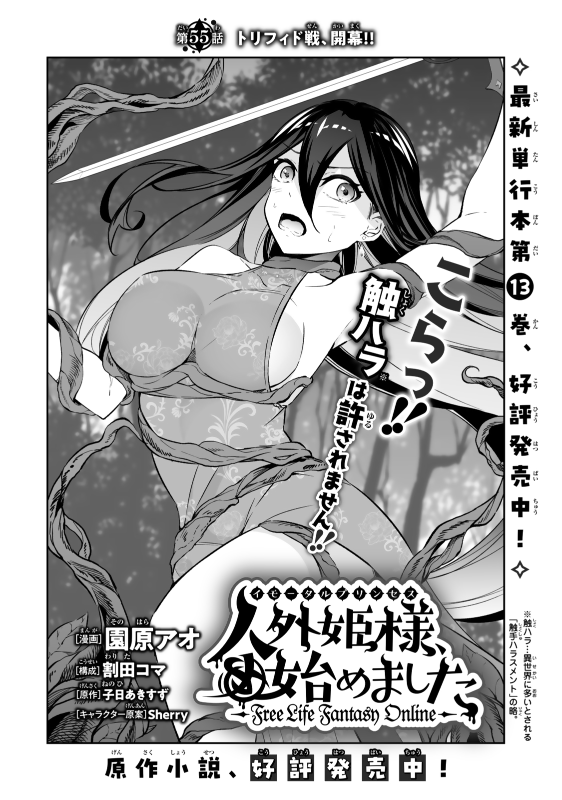 Jingai Hime Sama, Hajimemashita – Free Life Fantasy Online - Chapter 55.1 - Page 2