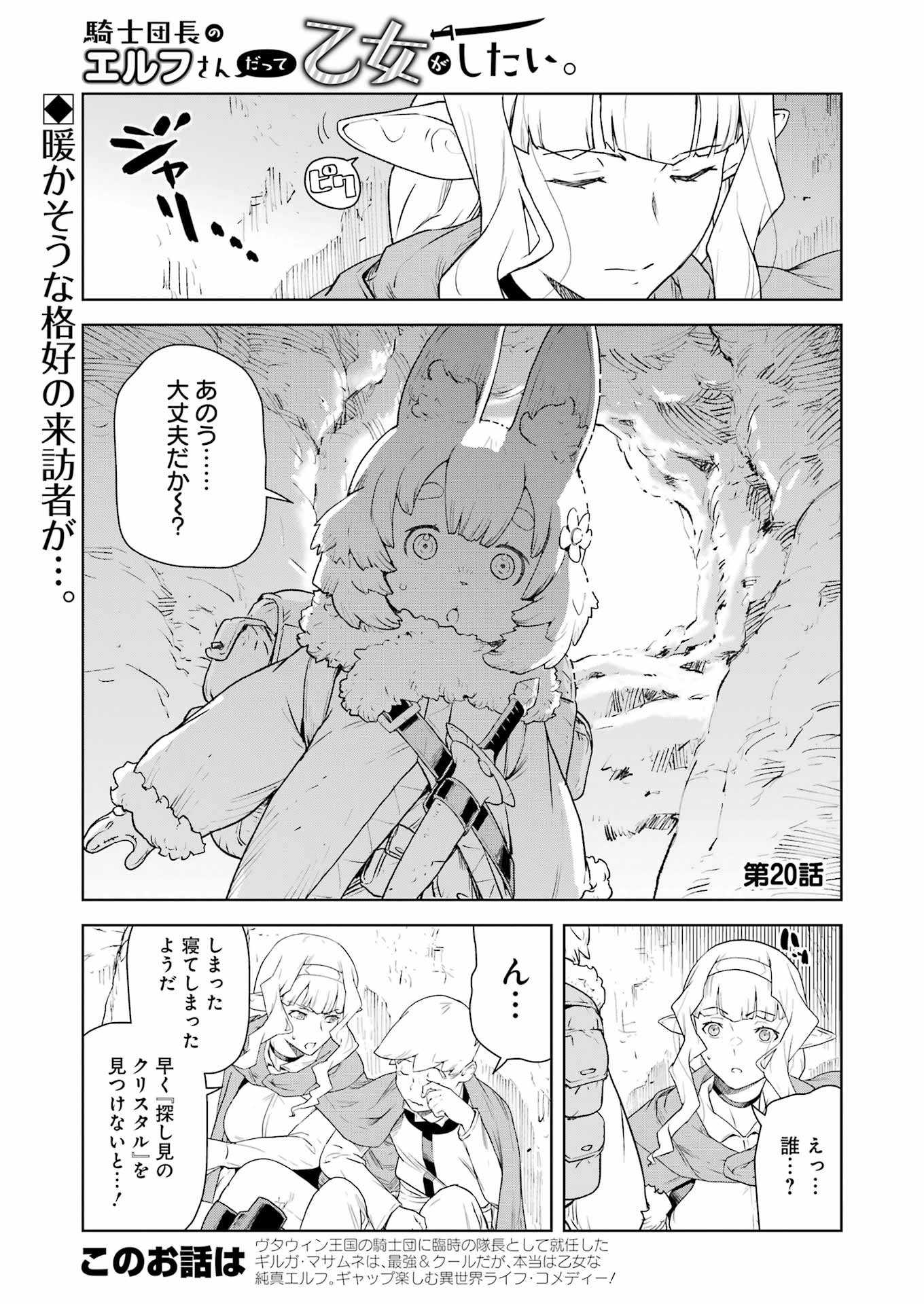Kishi Danchou no Elf-san Datte Otome ga shitai. - Chapter 20 - Page 1