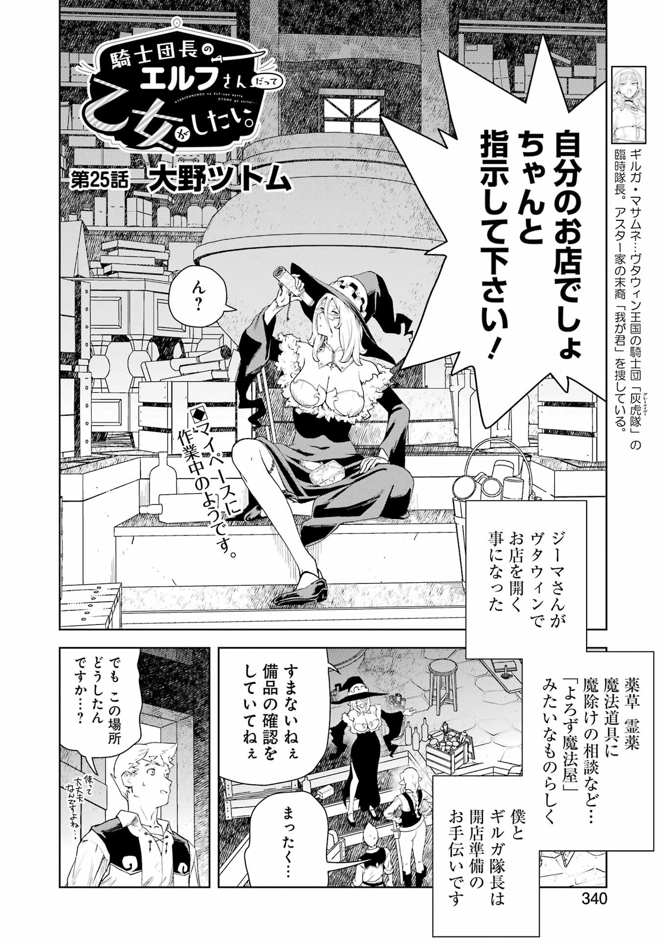 Kishi Danchou no Elf-san Datte Otome ga shitai. - Chapter 25 - Page 2