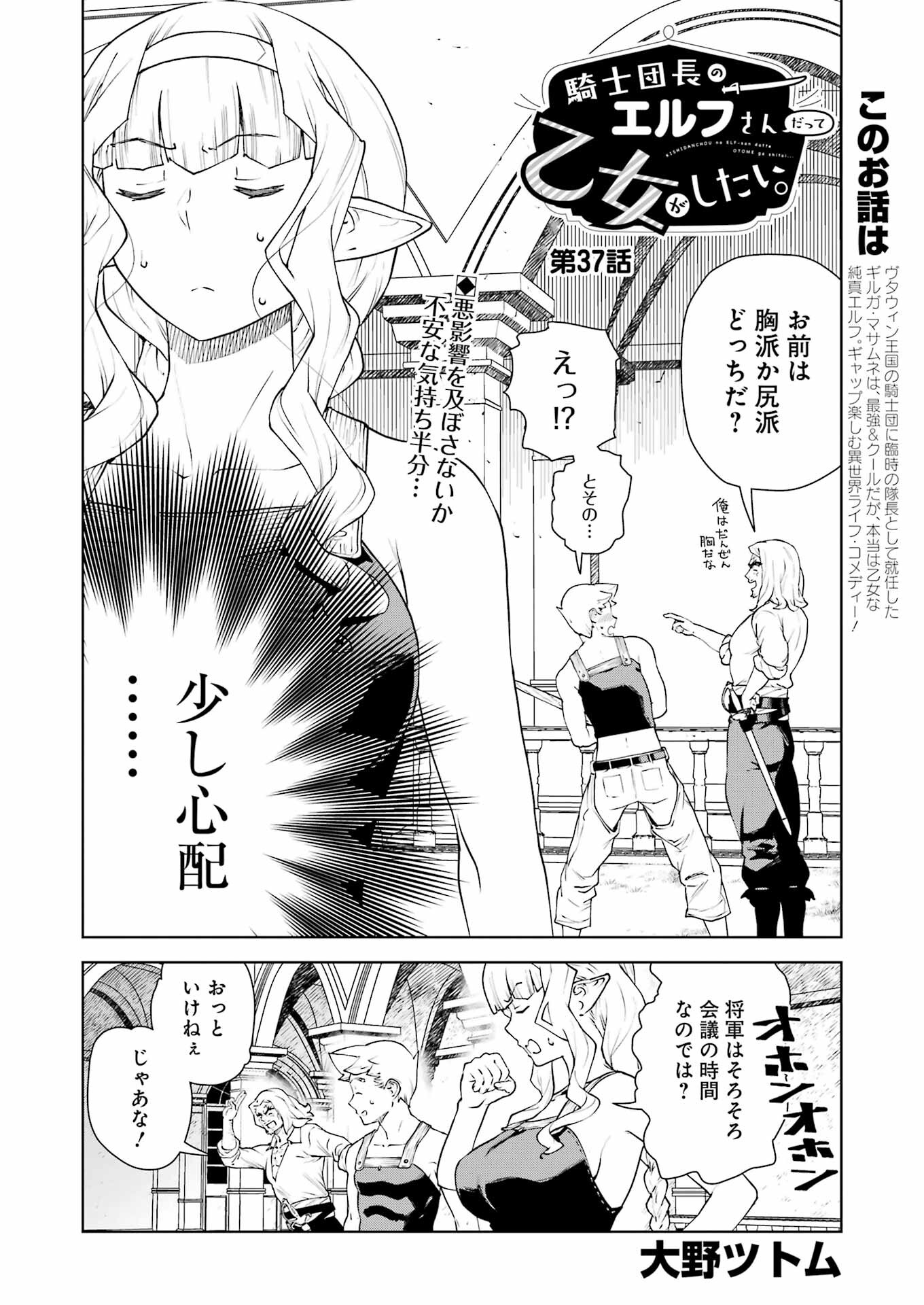 Kishi Danchou no Elf-san Datte Otome ga shitai. - Chapter 37 - Page 2