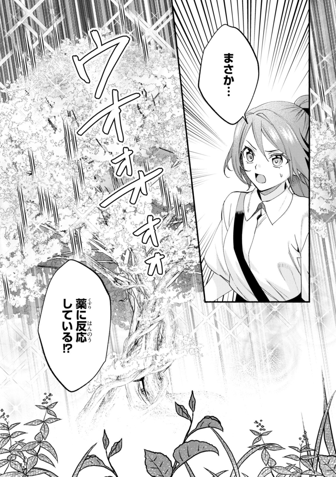 Magaimo no Reijou Kara Aisare Kusushi ni Narimashita - Chapter 17.1 - Page 2