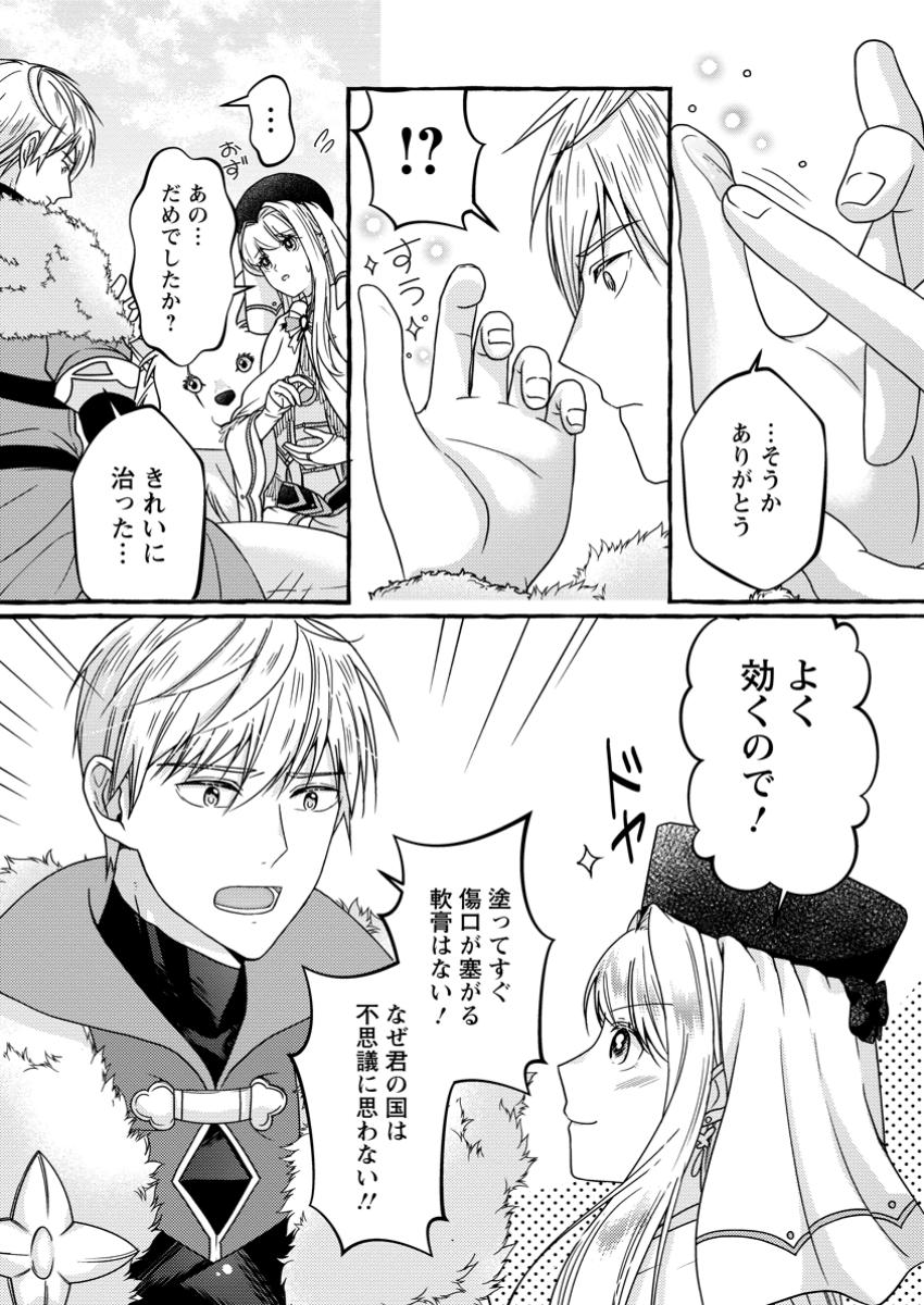 Migawari no Ochikobore Ikenie Seijo wa Tekikoku wo Otouto ni Dekiai sareru shokei no Hi wa itsu desho? - Chapter 5.3 - Page 4