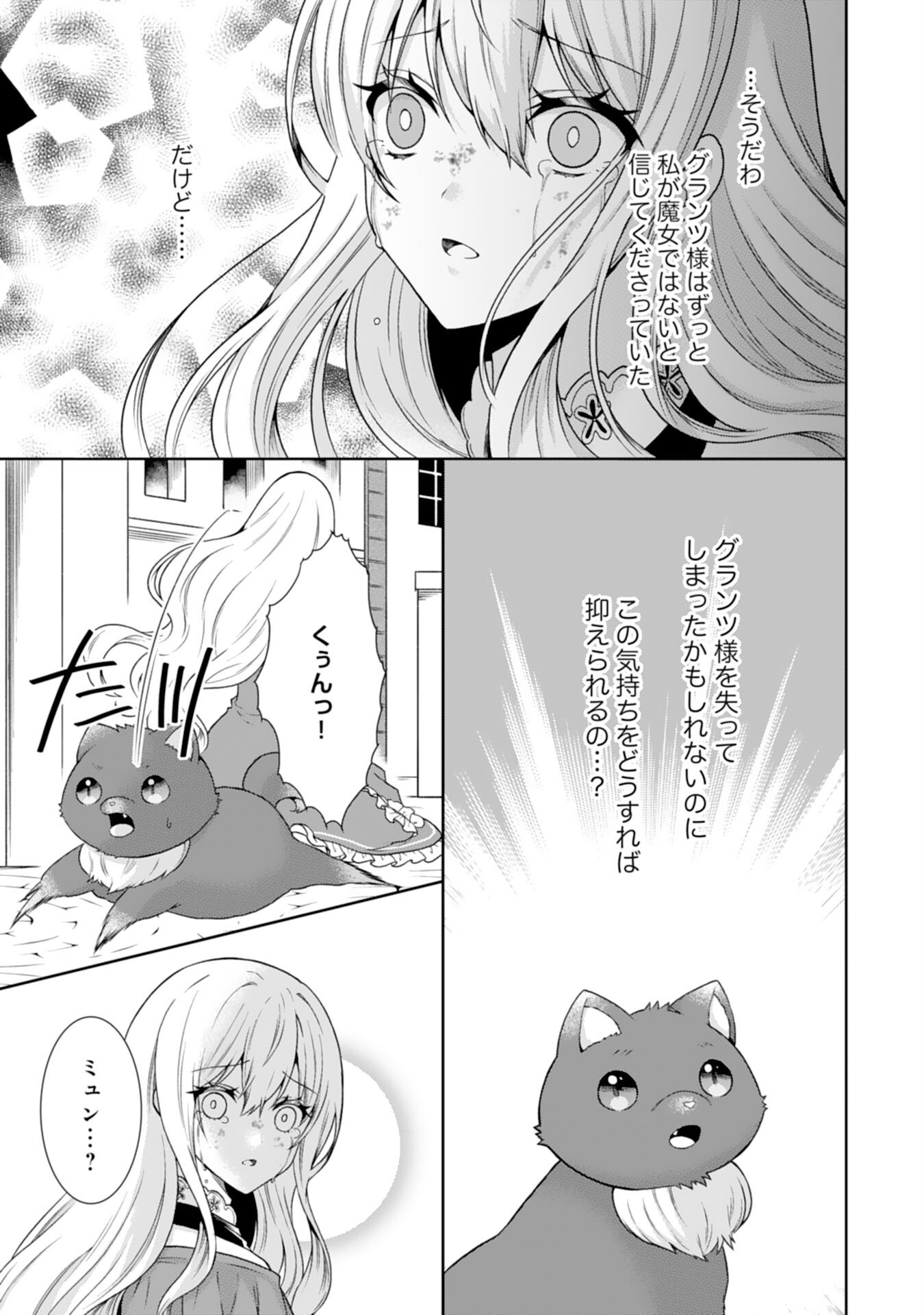 Mofumofu Majuu to Heion ni Kurashitai no de Kowamote Koushaku no Kyuukon wa Okotowari desu - Chapter 14 - Page 5