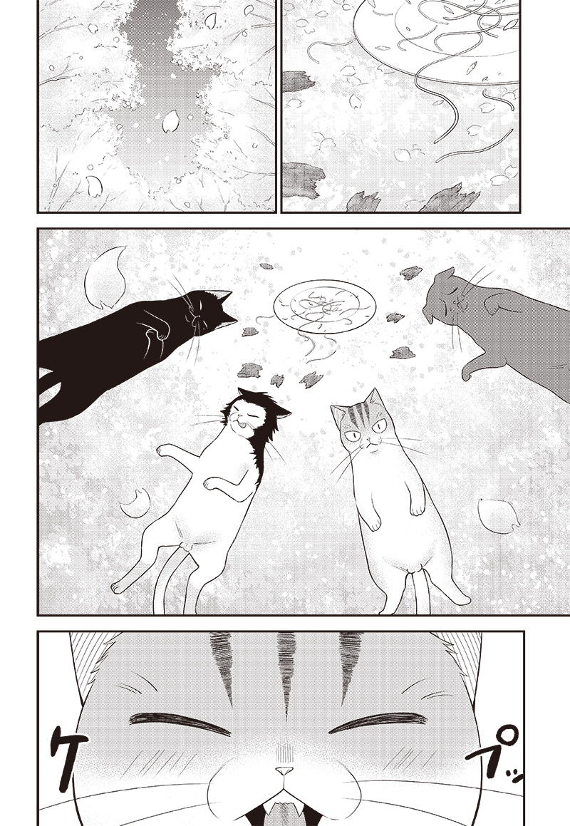 Neko ga Gotoku - Chapter 33 - Page 10