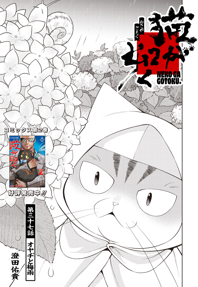 Neko ga Gotoku - Chapter 37 - Page 3