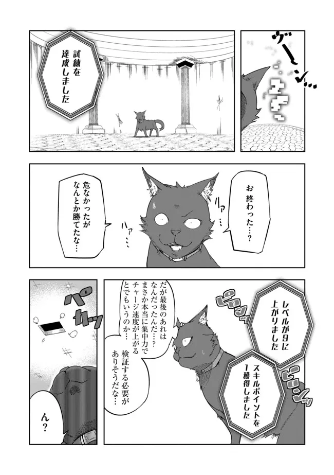 Neko ni Tensei shitakedo, Hima na no de Gamer Joshi to Issho ni VRMMO wo suru - Chapter 5.1 - Page 12