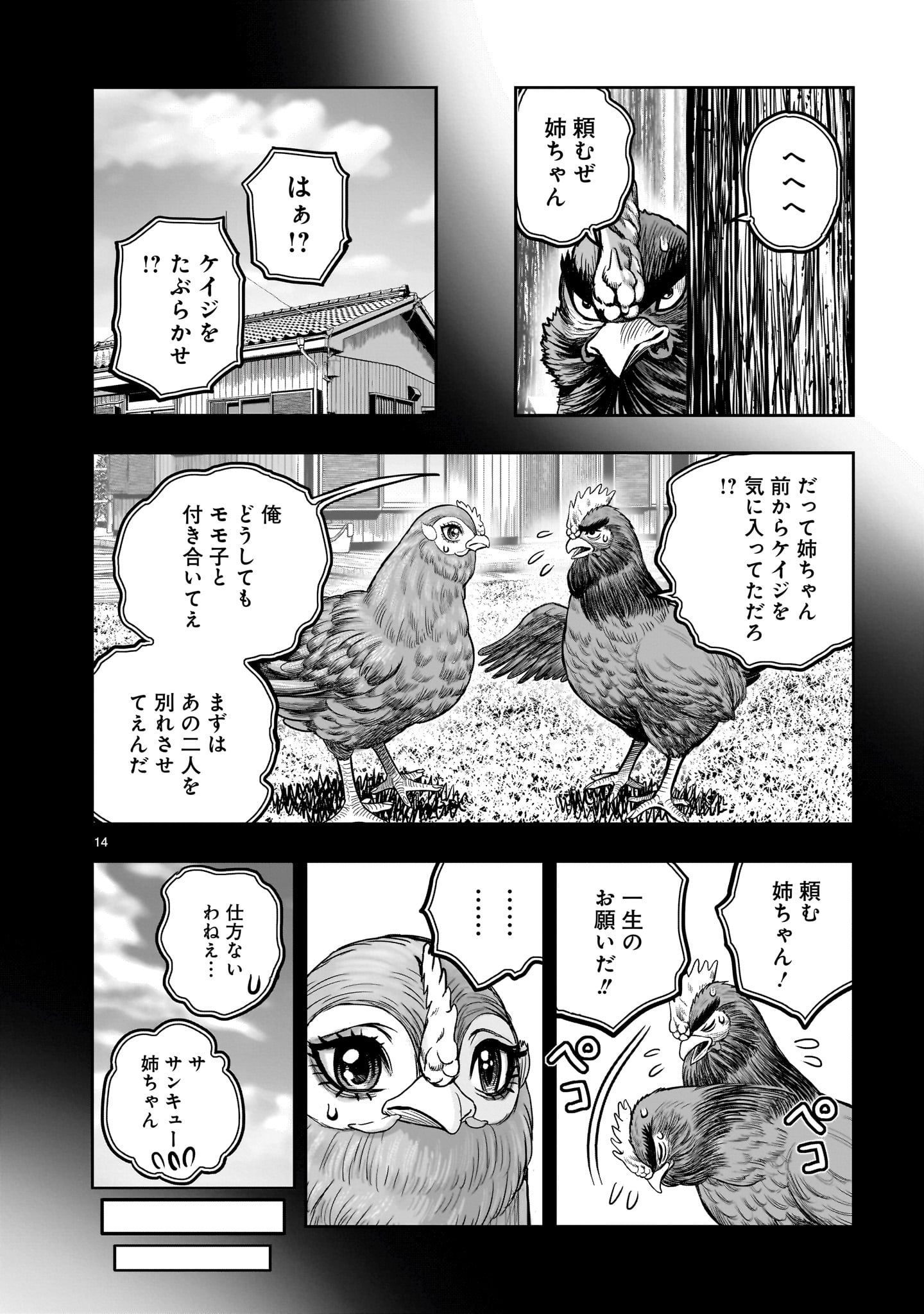 Niwatori Fighter - Chapter 36.5 - Page 14