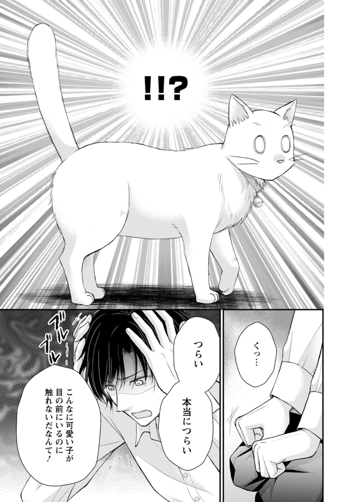 Noroi de Neko ni Sareta Akujo, Outaishi ni Hirowareru. - Chapter 3.1 - Page 7