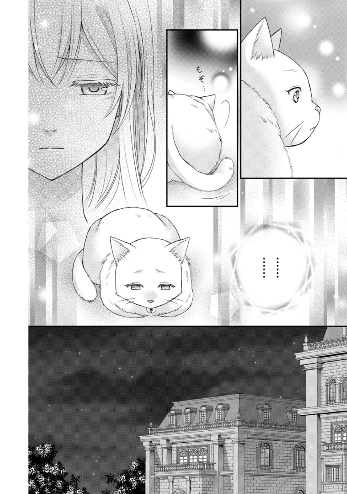 Noroi de Neko ni Sareta Akujo, Outaishi ni Hirowareru. - Chapter 3.3 - Page 9