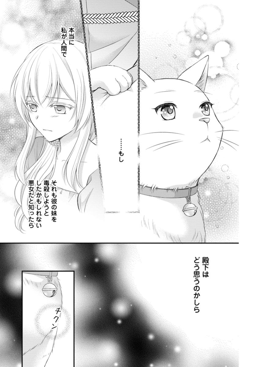 Noroi de Neko ni Sareta Akujo, Outaishi ni Hirowareru. - Chapter 4.3 - Page 7