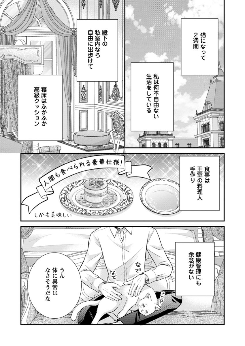 Noroi de Neko ni Sareta Akujo, Outaishi ni Hirowareru. - Chapter 5.1 - Page 3