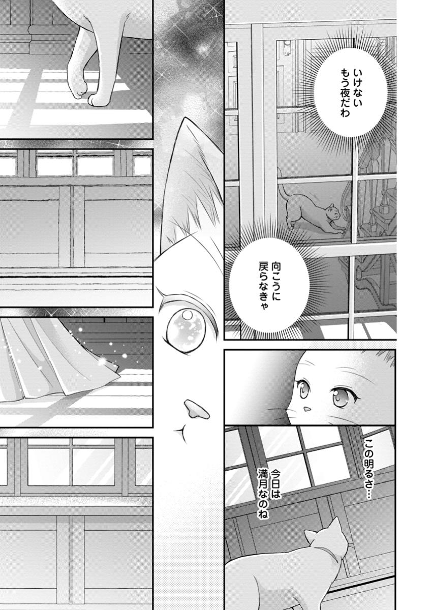 Noroi de Neko ni Sareta Akujo, Outaishi ni Hirowareru. - Chapter 7.2 - Page 10