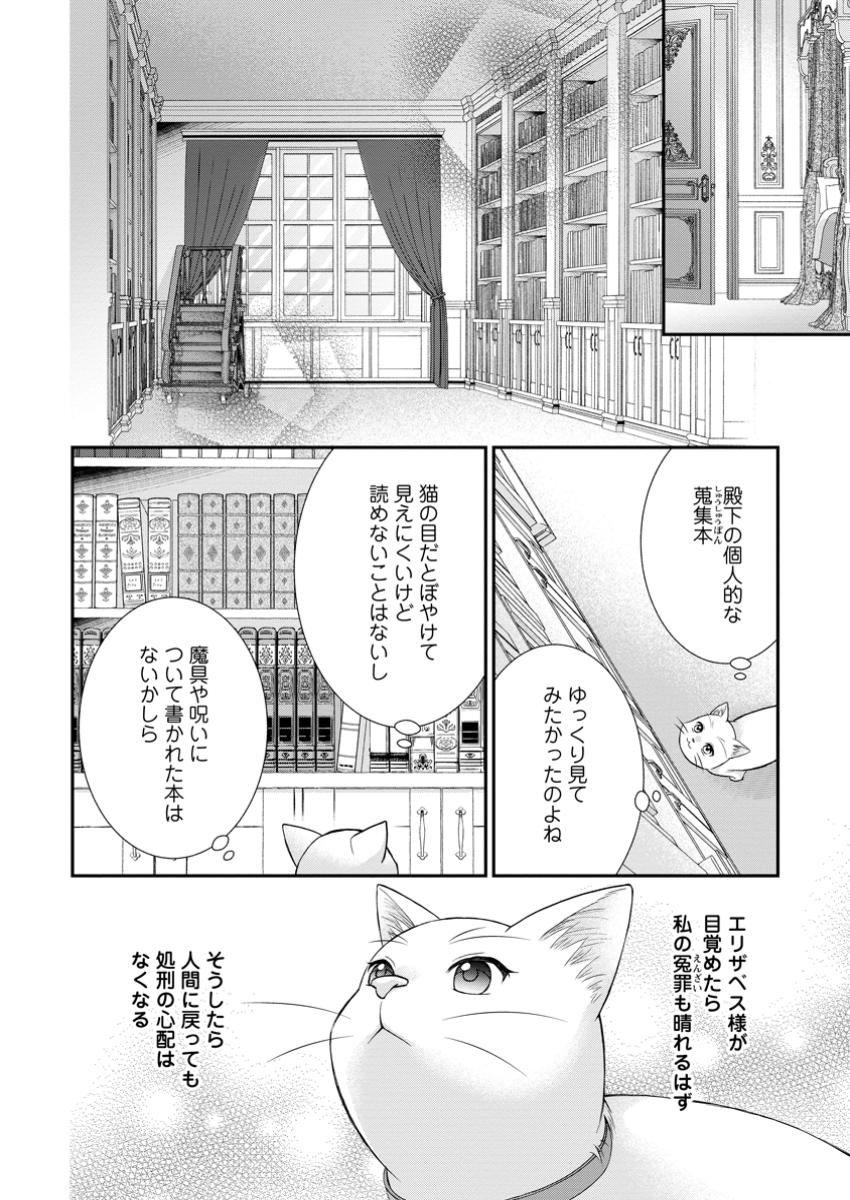 Noroi de Neko ni Sareta Akujo, Outaishi ni Hirowareru. - Chapter 7.2 - Page 7