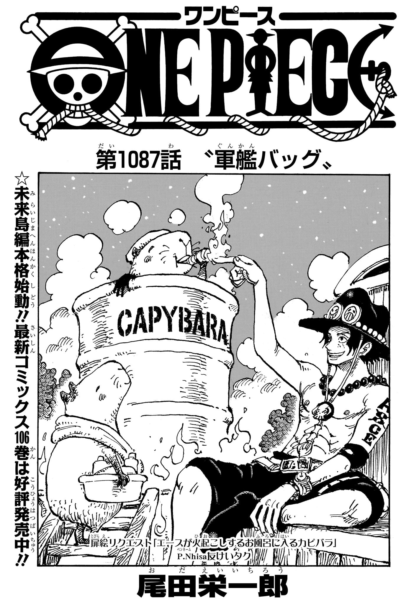 One Piece - Chapter 1087 - Page 1