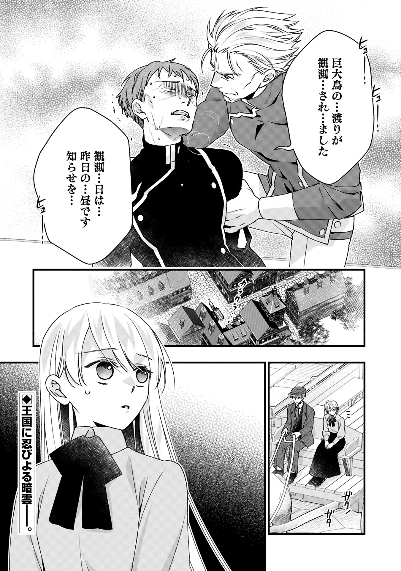 Oukuu Kishidan to Kyuukoku no Shoujo – Sora wo Tobu Shoujo Iris no Monogatari - Chapter 9.2 - Page 18