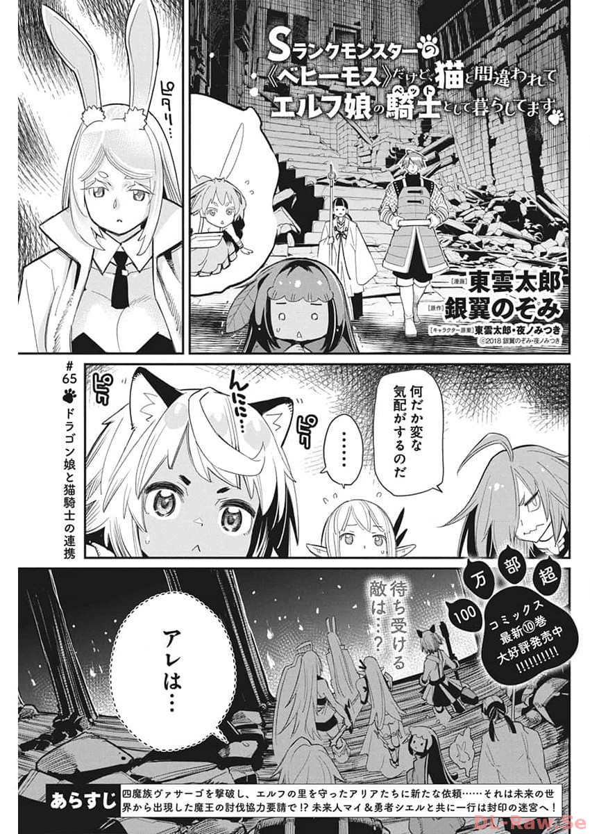 S-Rank Monster no Behemoth Dakedo, Neko to Machigawarete Erufu Musume no Kishi (Pet) Toshite Kurashitemasu - Chapter 65 - Page 1