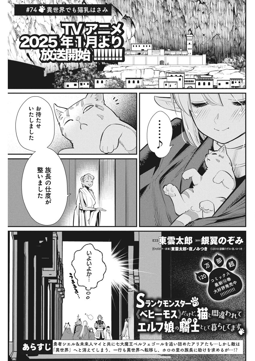 S-Rank Monster no Behemoth Dakedo, Neko to Machigawarete Erufu Musume no Kishi (Pet) Toshite Kurashitemasu - Chapter 74 - Page 1