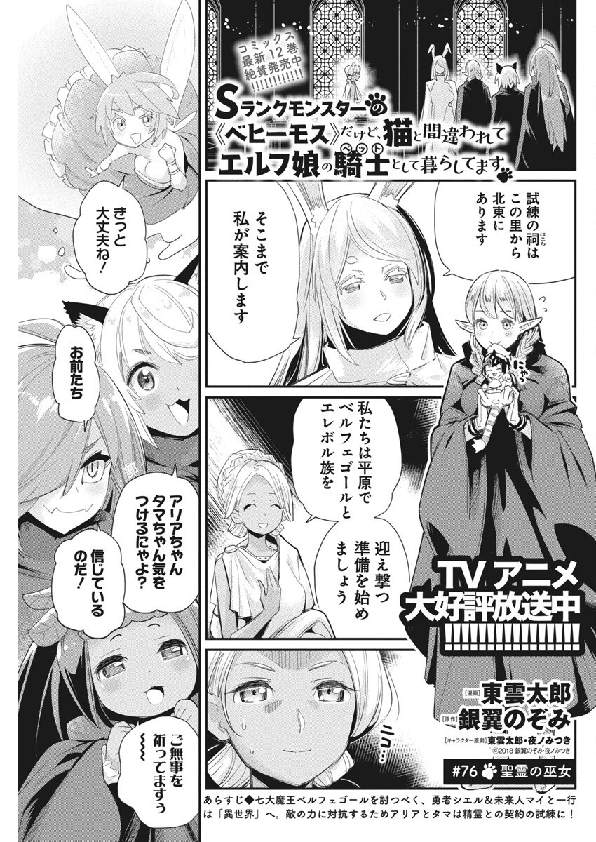 S-Rank Monster no Behemoth Dakedo, Neko to Machigawarete Erufu Musume no Kishi (Pet) Toshite Kurashitemasu - Chapter 76 - Page 1