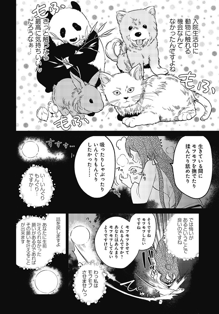 Seijo-sama? Iie, Toorisugari no Mamono Tsukai desu! – Zettai Muteki no Seijo wa Mofumofu to Tabi wo suru - Chapter 1 - Page 22