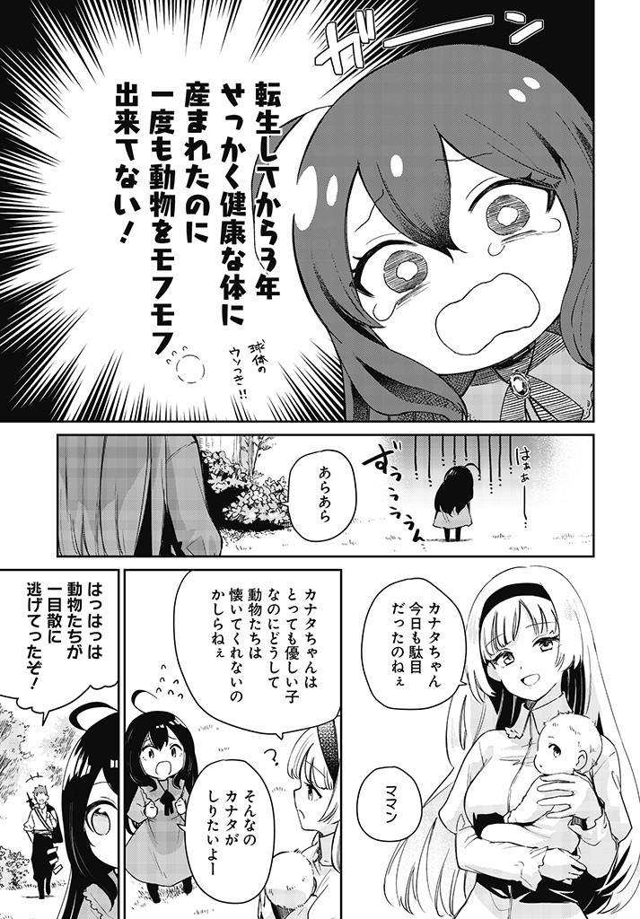 Seijo-sama? Iie, Toorisugari no Mamono Tsukai desu! – Zettai Muteki no Seijo wa Mofumofu to Tabi wo suru - Chapter 1 - Page 25