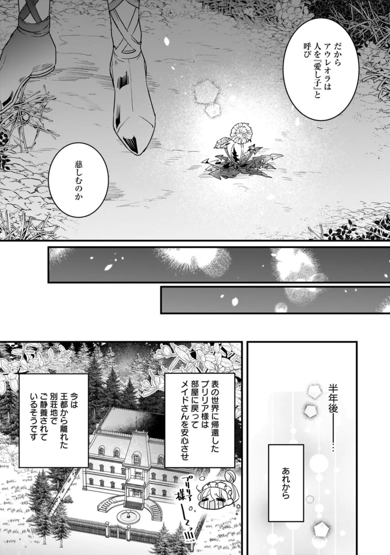 Tensei Seijo ni Isekai Slow Life – Kiseki no Hana wo Sodatetara, Mahou Kishi ni Dekiaisaremashita - Chapter 24.2 - Page 5