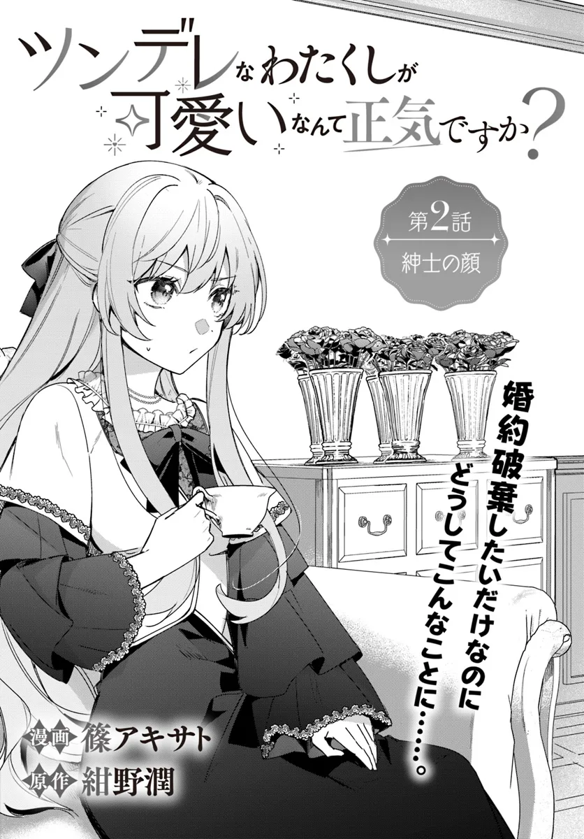 Tsundere Na Watakushi Ga Kawaii Nante Shouki Desu Ka? - Chapter 2.1 - Page 4