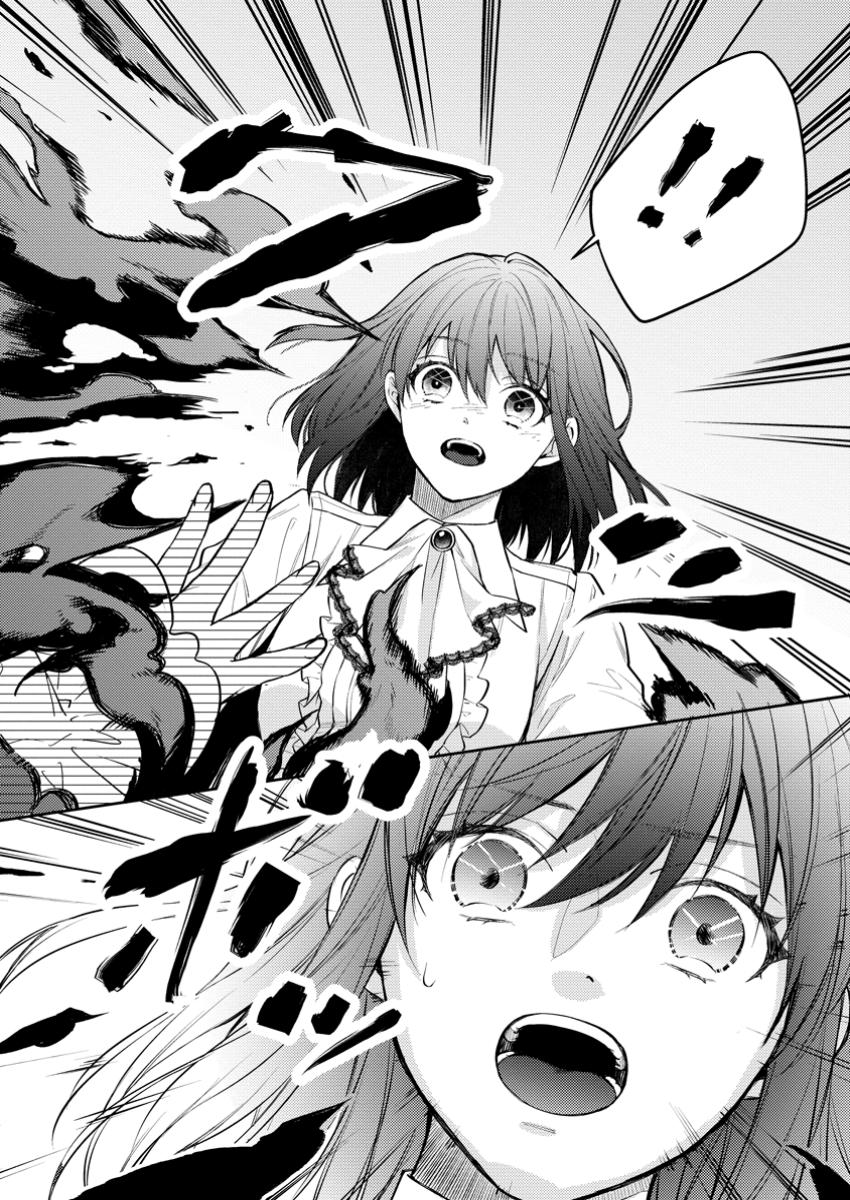 Veil no Seijo – Minikui to Gokaisareta Seijo, Ikemen Goei Kishi ni Dekiaisareru - Chapter 17.3 - Page 2
