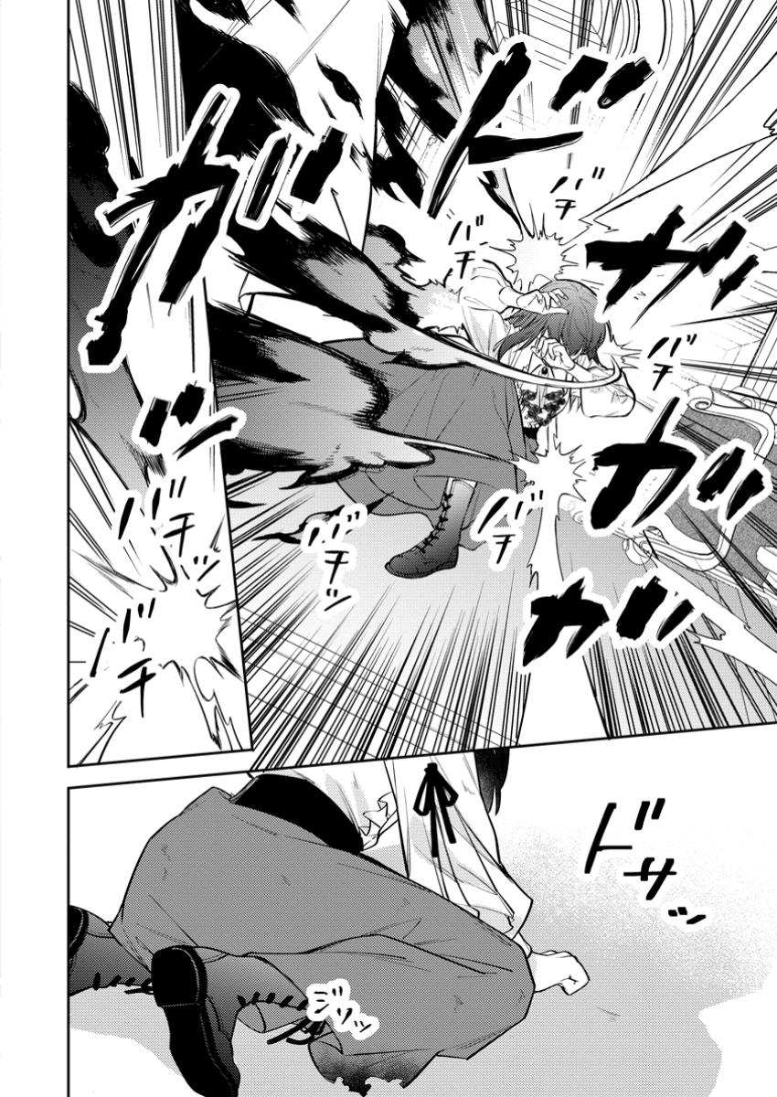 Veil no Seijo – Minikui to Gokaisareta Seijo, Ikemen Goei Kishi ni Dekiaisareru - Chapter 17.3 - Page 4