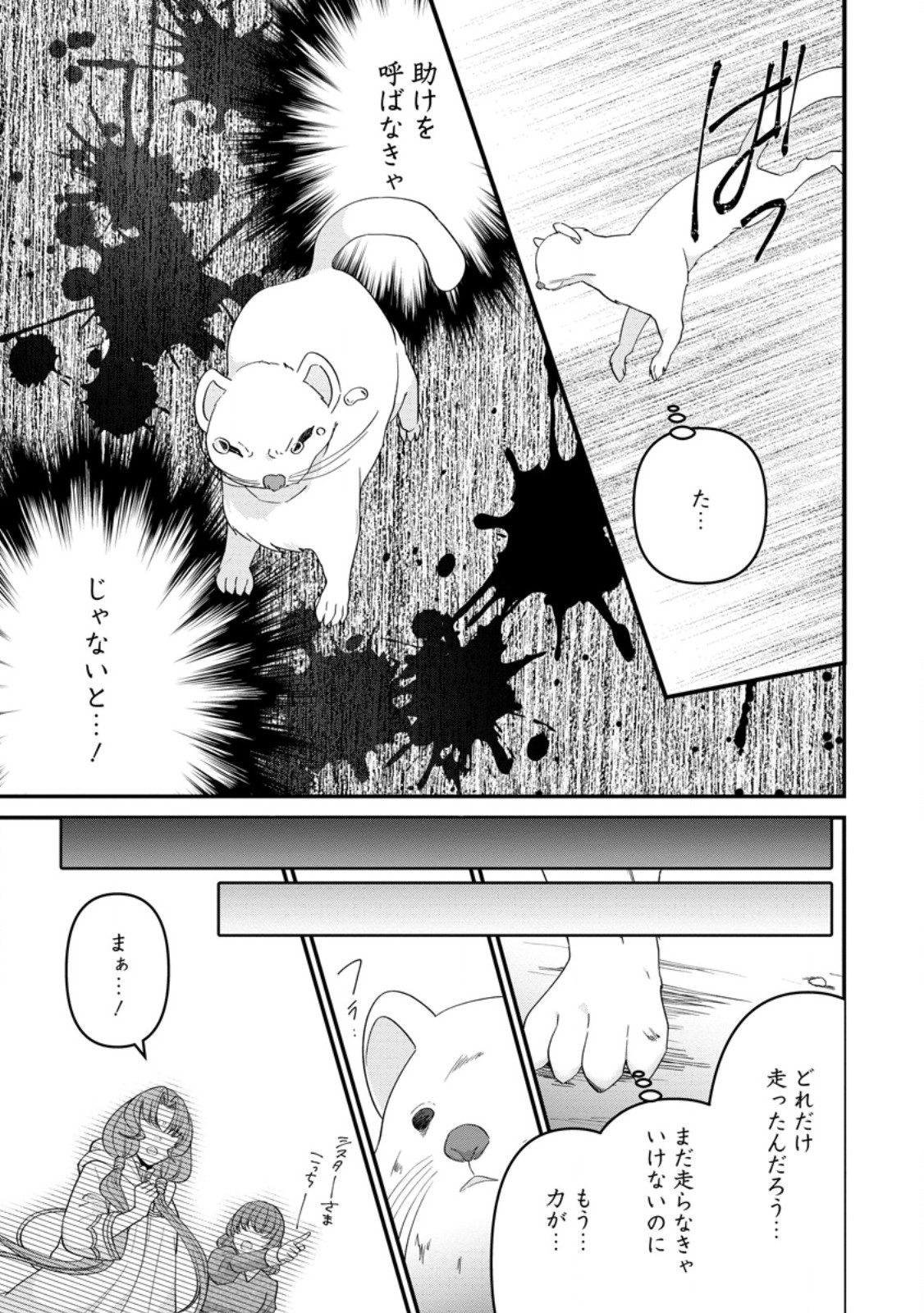 Watashi, Seijo Ja Arimasen Kara - Chapter 28.1 - Page 9