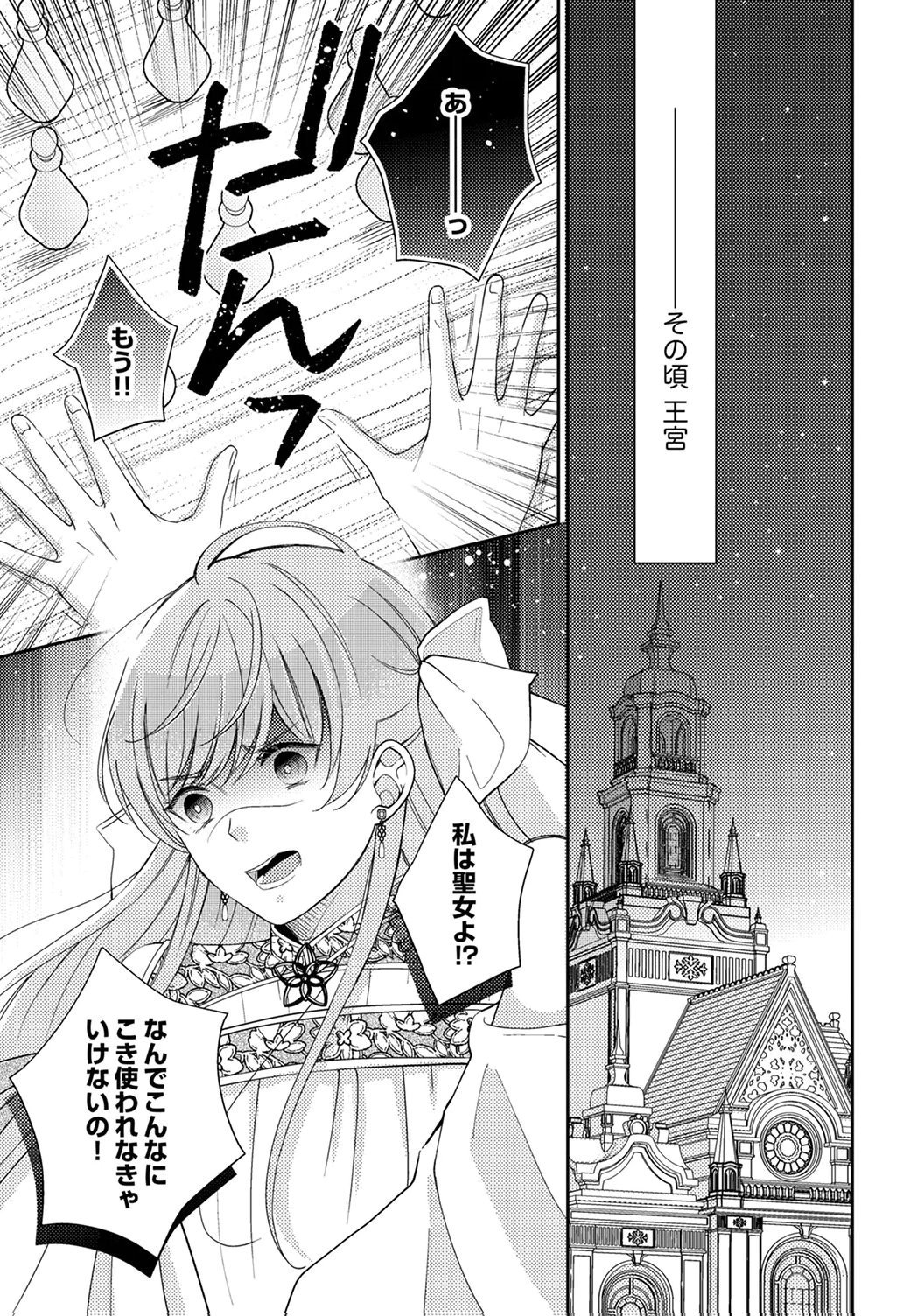 Ane no Spare to Yobareta Migawari Jinsei wa, Kyou de Yameru Koto ni Shimasu - Chapter 3 - Page 29