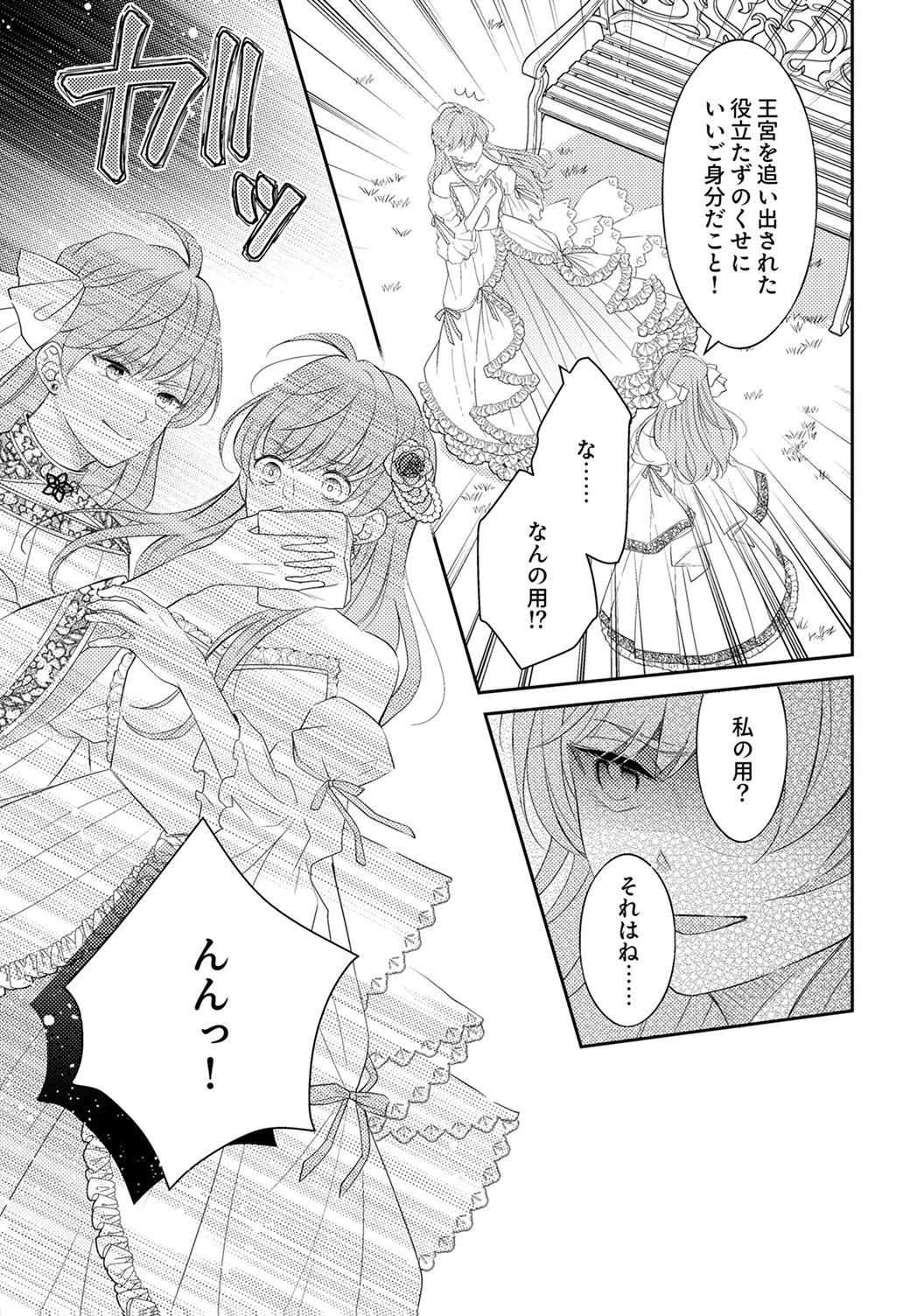 Ane no Spare to Yobareta Migawari Jinsei wa, Kyou de Yameru Koto ni Shimasu - Chapter 5 - Page 23