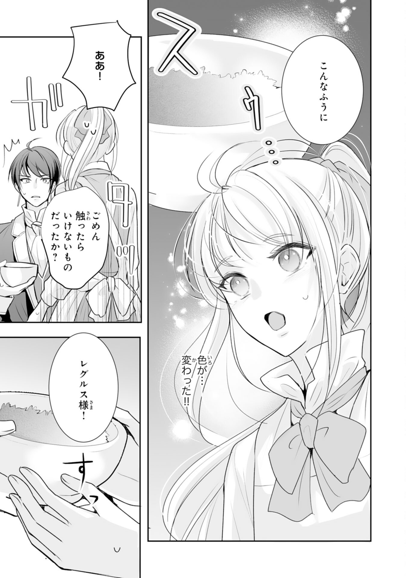 Youzumi Seijo to Tsuihou Saremashita ga, Rinkoku no Okakae Kusushu toshite Dai-2 no Jinsei Ouka Shimasu! - Chapter 8 - Page 17