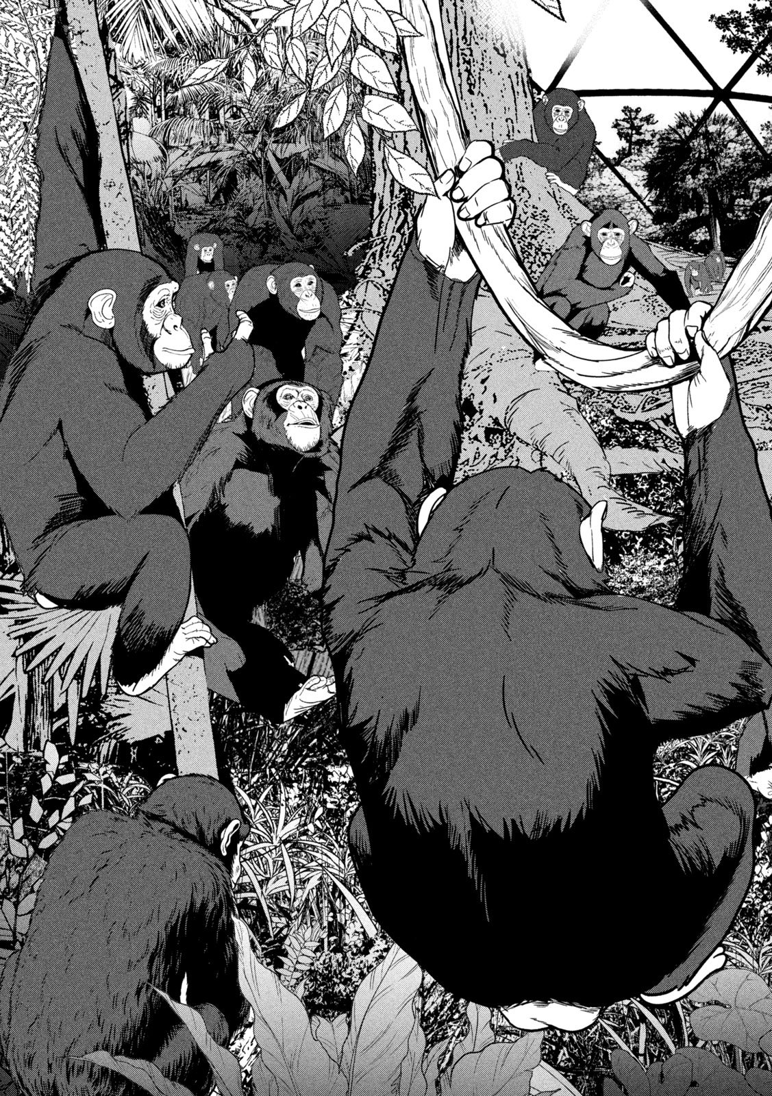 Ank : a mirroring ape - Chapter 1 - Page 17