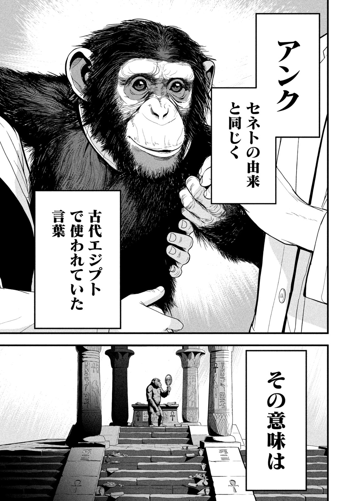 Ank : a mirroring ape - Chapter 2 - Page 37