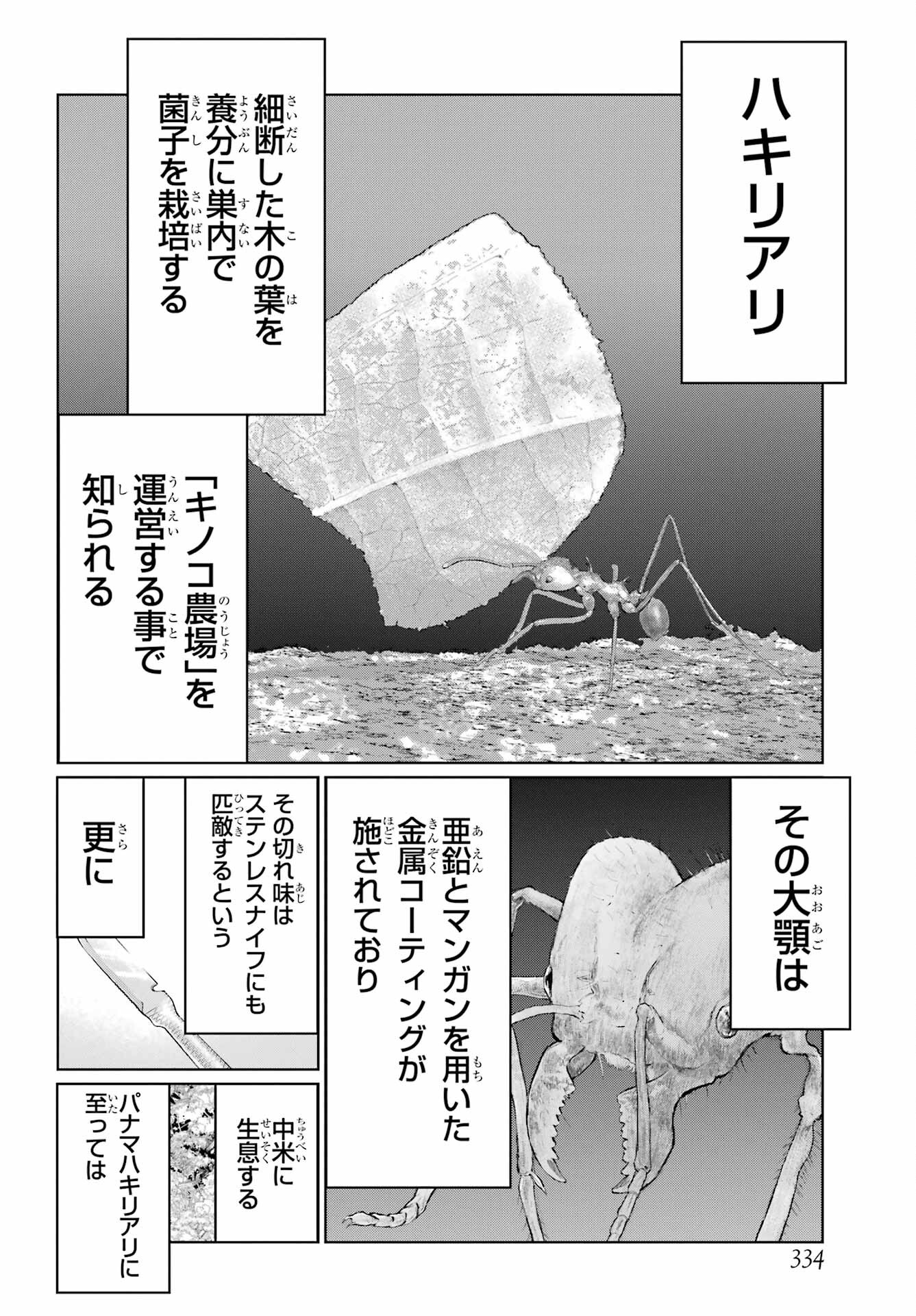 Blattodea - Chapter 32 - Page 6
