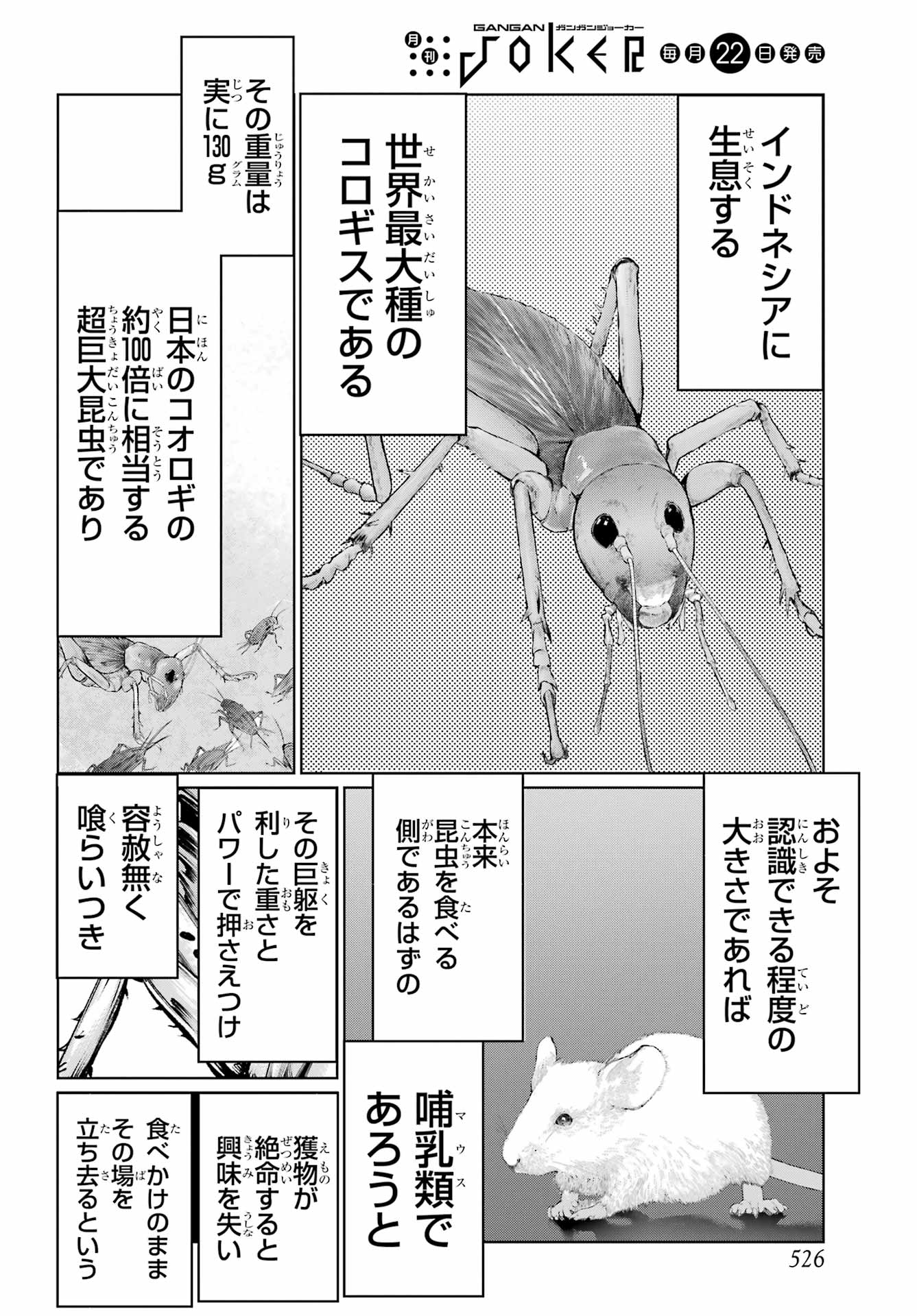 Blattodea - Chapter 47.1 - Page 4