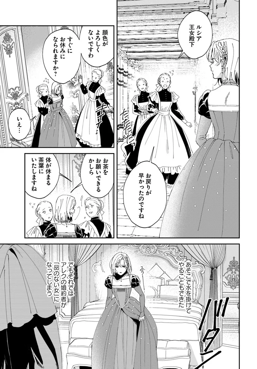 Daiichi Oujo Lucia no Kikan to Kareinaru Kaishingeki - Chapter 2 - Page 19