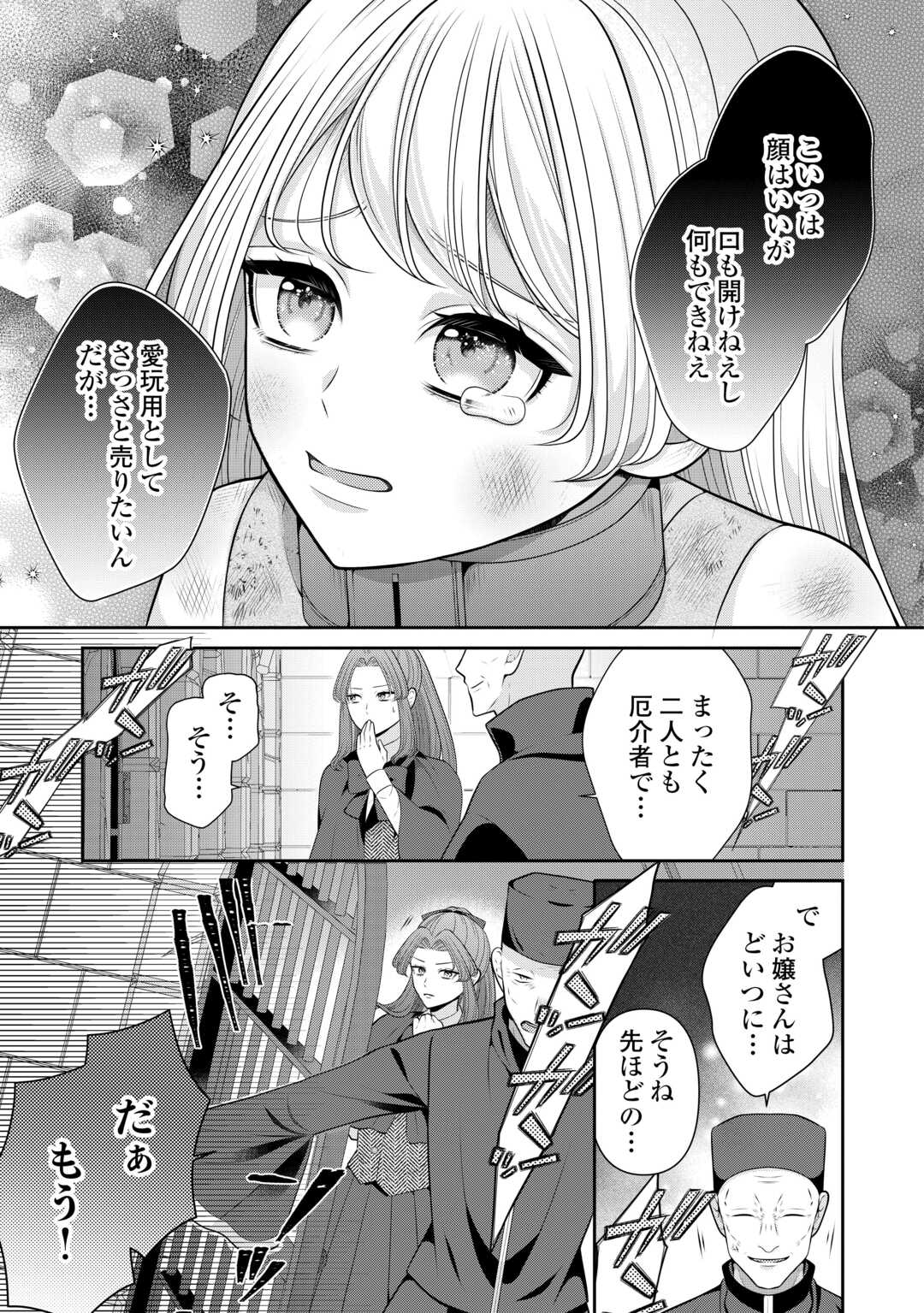 Enzai de Konyakuhaki sareta Koushaku Reijou wa Ringoku e Toubou itashimasu! - Chapter 1 - Page 27