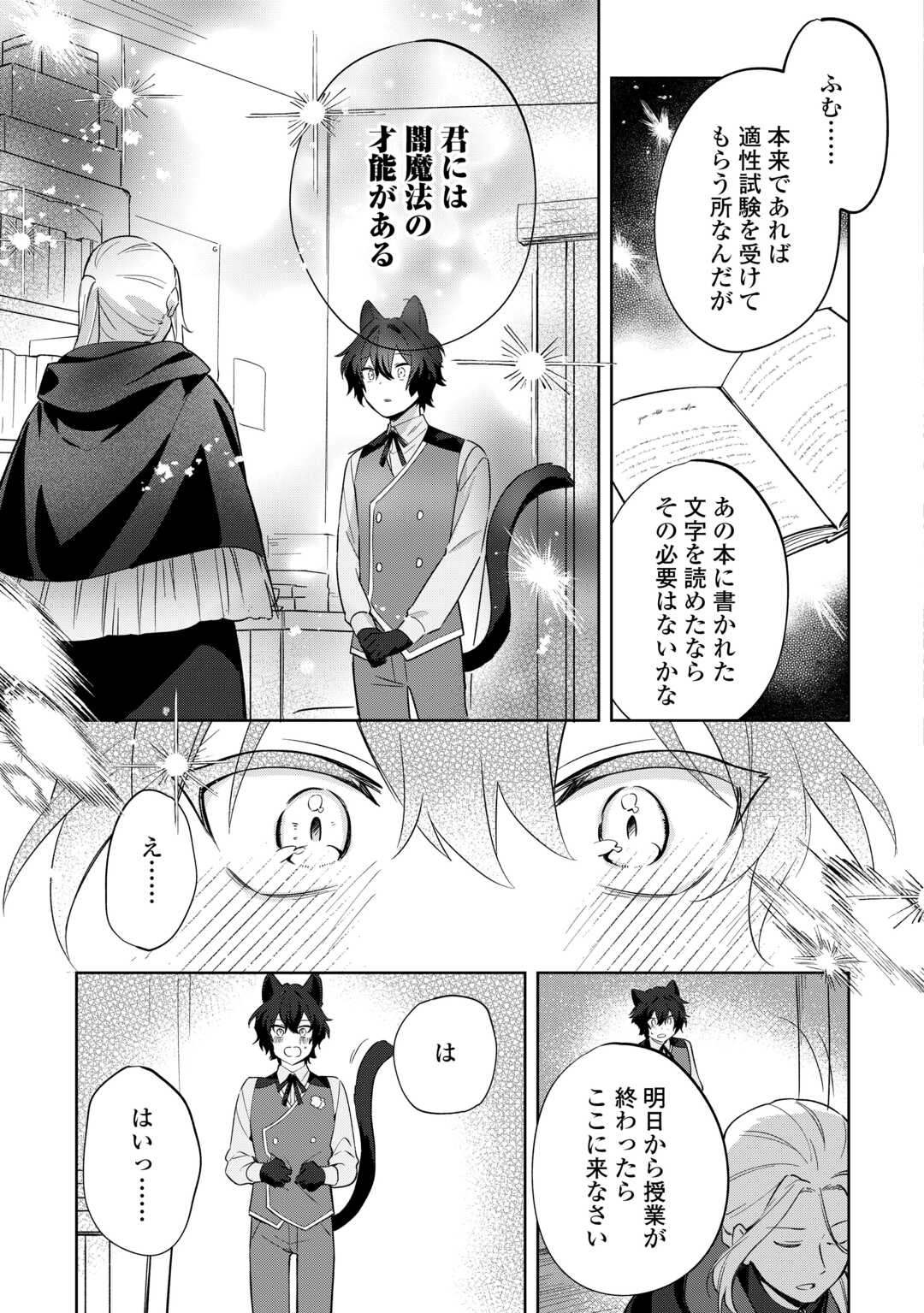 Futago no Ouji ni Futago de Konyaku shitakedo Janai Hou dakara Yami Mahou wo Kiwameru - Chapter 3 - Page 11