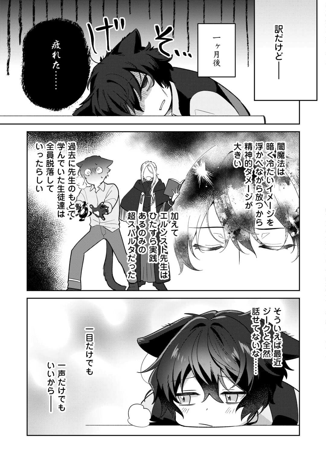 Futago no Ouji ni Futago de Konyaku shitakedo Janai Hou dakara Yami Mahou wo Kiwameru - Chapter 3 - Page 13