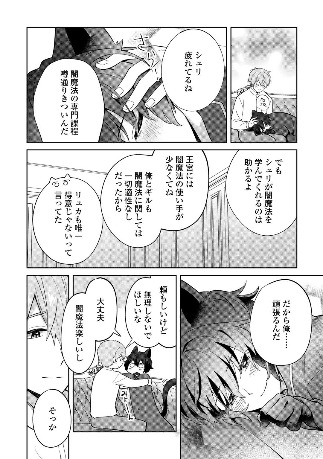 Futago no Ouji ni Futago de Konyaku shitakedo Janai Hou dakara Yami Mahou wo Kiwameru - Chapter 3 - Page 16