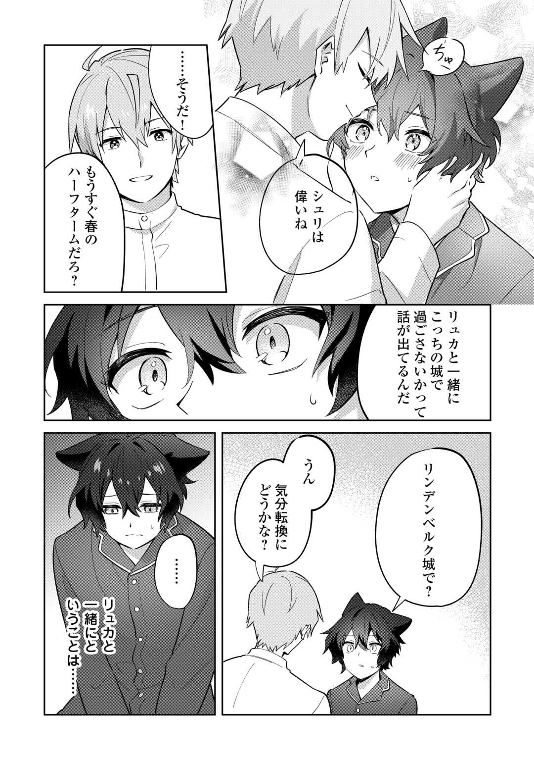 Futago no Ouji ni Futago de Konyaku shitakedo Janai Hou dakara Yami Mahou wo Kiwameru - Chapter 3 - Page 17