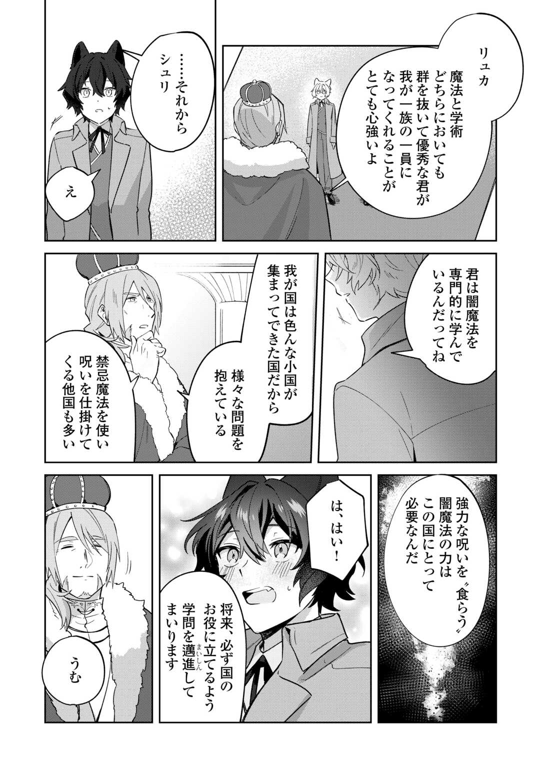 Futago no Ouji ni Futago de Konyaku shitakedo Janai Hou dakara Yami Mahou wo Kiwameru - Chapter 3 - Page 20