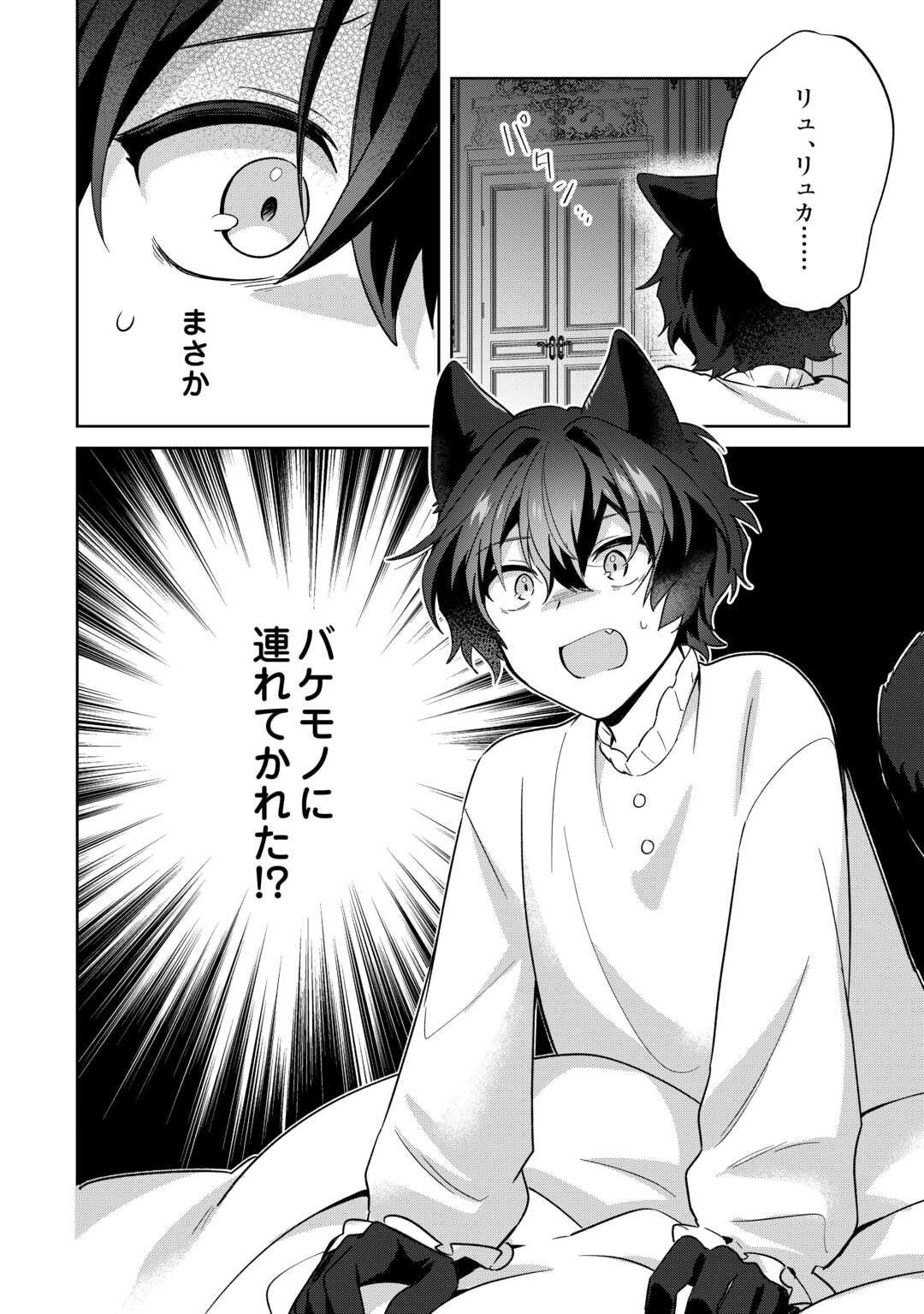 Futago no Ouji ni Futago de Konyaku shitakedo Janai Hou dakara Yami Mahou wo Kiwameru - Chapter 3 - Page 24